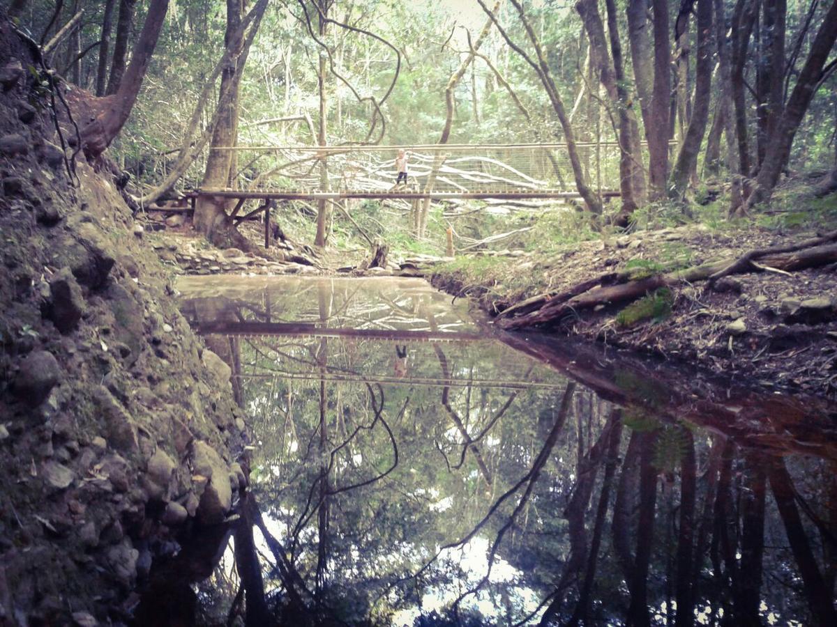 Woodlands Self Catering Hotell Knysna Exteriör bild