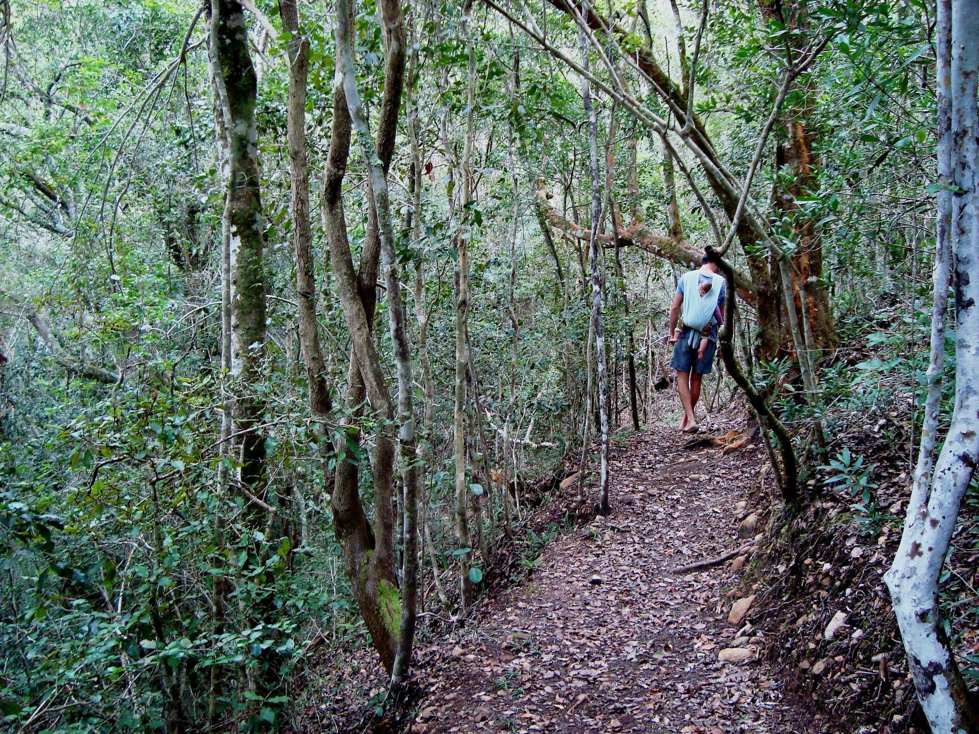 Woodlands Self Catering Hotell Knysna Exteriör bild
